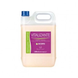 Champú Vitalizante Artero 5 L