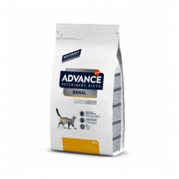 Advance Renal Gato