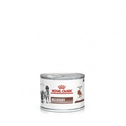 Royal Canin Recovery Canine / Feline Paté