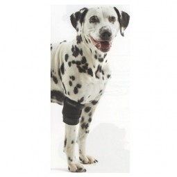 Protector de Codo KRUUSE Rehab