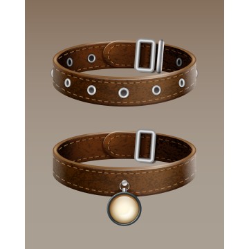 Taberdog Collar Permetrina de 60 cm