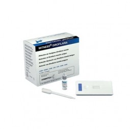 Witness Dirofilaria 10 Test