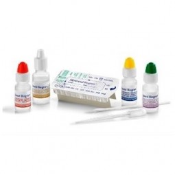 Speed Biogram 5 Test