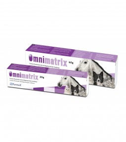 Omnimatrix 60 Gramos