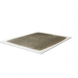 Zepo Trampa Encolada 1 Carton