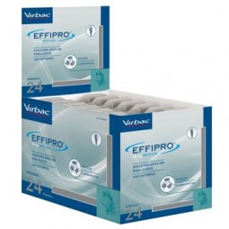 Effipro gato 24 pipetas