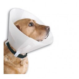 Collar Isabelino Buster Classic (1ud)