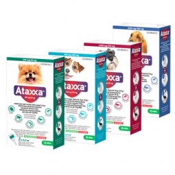 Ataxxa 2000/400 Mg +25 KG 3 Pipetas