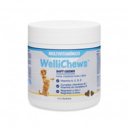 Wellichews Multivitaminico 60 ud.