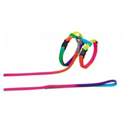 Set Gato Arnés y Correa Arcoíris