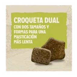 Purina Dog Chow Adulto Cordero