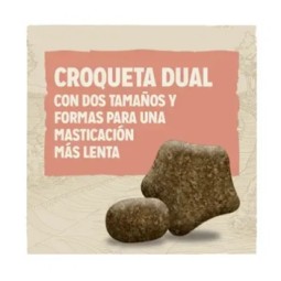 Purina Dog Chow Adulto Sensitive Salmon