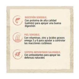 Purina Dog Chow Adulto Sensitive Salmon