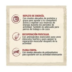 Purina Dog Chow Adulto Active Pollo 14 kg