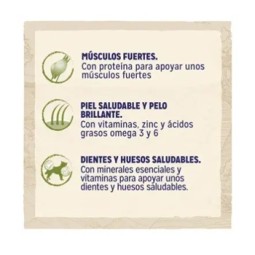 Purina Dog Chow Adulto Pollo
