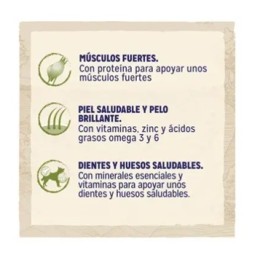 Purina Dog Chow Adulto Razas Grandes Pavo 14 kg