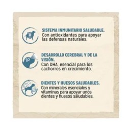 Purina Dog Chow Puppy Pollo 14 Kilos