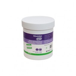 Glutavet 300 comprimidos