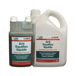 Arti Equi Flex Líquido 2 L