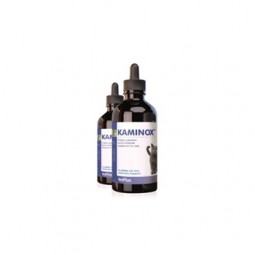 Kaminox 60 ml
