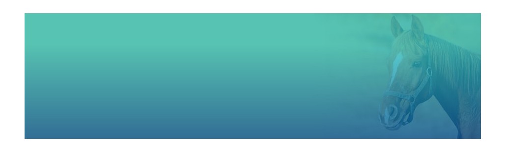 Sistema Digestivo : Farmacia Veterinaria