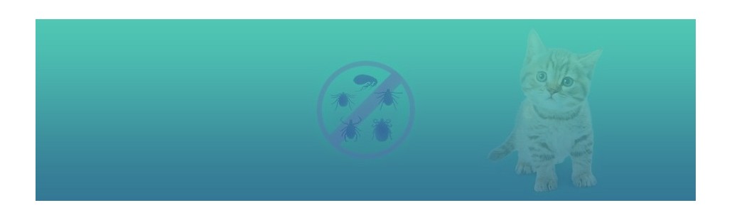 Farmacia veterinaria – Antiparasitarios para gatos