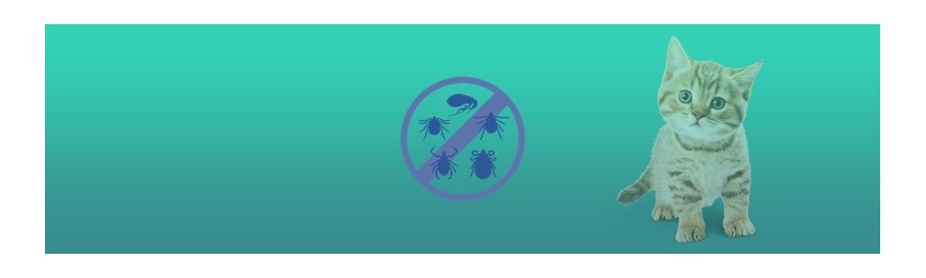 Farmacia veterinaria – Comprimidos antiparasitarios para gatos