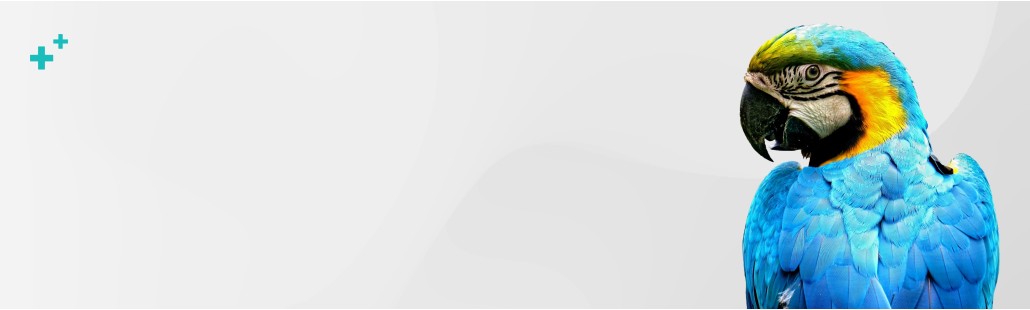 Farmacia veterinaria – medicamentos para pájaros