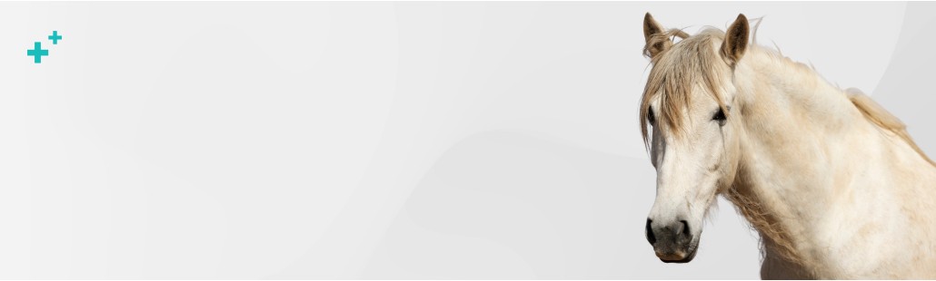 Farmacia veterinaria – medicamentos para caballos