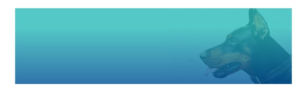 Farmacia veterinaria – lector microchip