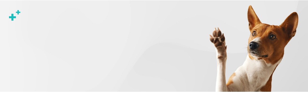 Farmacia veterinaria – Antiparasitarios para perros