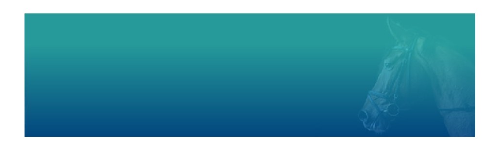 Analgésicos / Antiinflamatorios : Farmacia Veterinaria